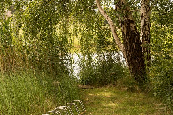  Urlauberschiff Störtebeker Prerow - Garten