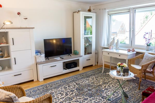  Ferienwohnung Wattlöwe Tönning - TV