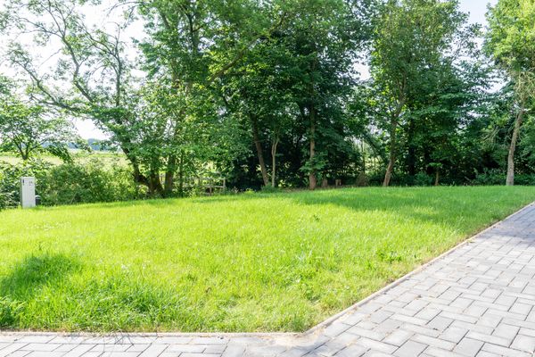  Ferienwohnung Amrum auf dem Holmhof Poppenbüll,Osterhever,Tetenbüll - Rasen