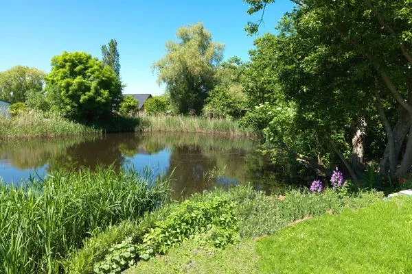 Landschaft  Hus an Diek