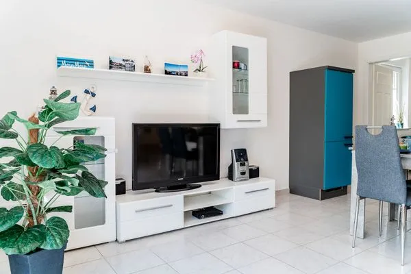 TV / Multimedia  Bloomstieg