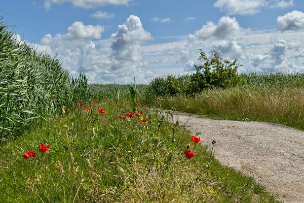 BAUERNHAUS KRULL App.02 Ostseebad Ahrenshoop - 