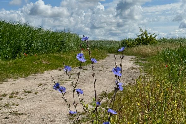 BAUERNHAUS KRULL App.02 Ostseebad Ahrenshoop - 
