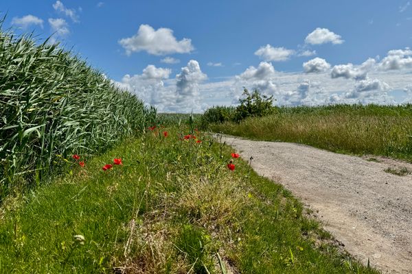 BAUERNHAUS KRULL App.02 Ostseebad Ahrenshoop - 