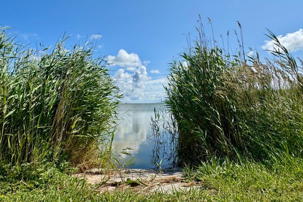 BAUERNHAUS KRULL App.02 Ostseebad Ahrenshoop - 