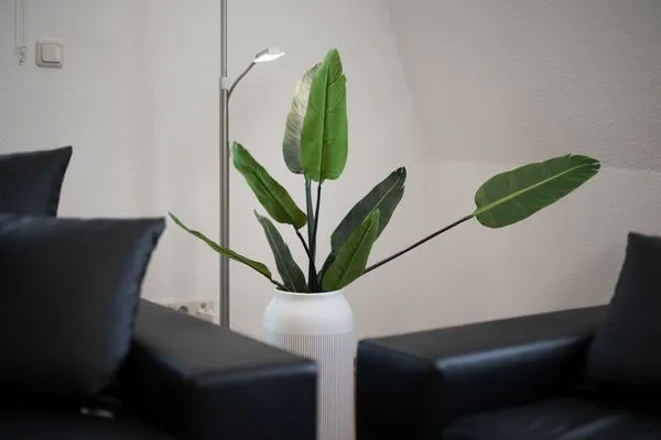 Apartment Strandglück Malchow - dekorative Vase mit Grünpflanze  Strandglück