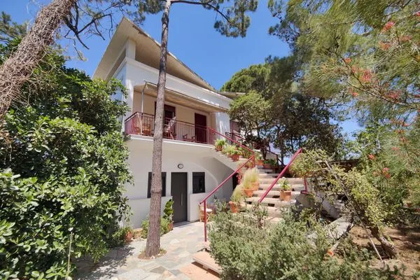 Vogelperspektive  Matina 1