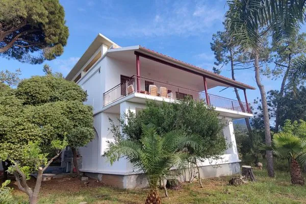 Bird's eye view  Matina 2