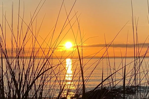 Tümmler-17  Tümmler