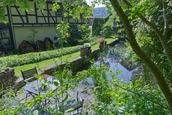 Ein wundervoller, immergrüner Garten zur Erholung  Ferienwohnung Parkblick