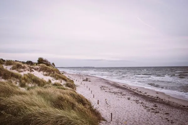 Strand  @Home