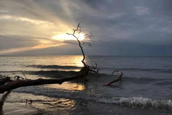 Strand  de Windroos