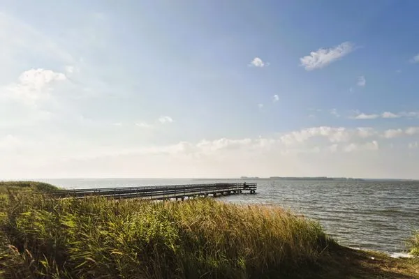 Strand  Swart Johann