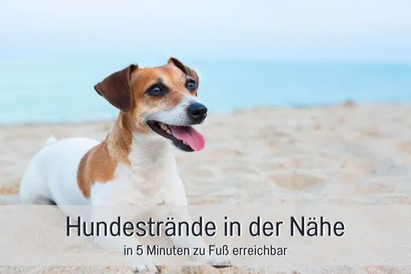   FeWo Meerzeit - Balkon, Sauna, Meerblick