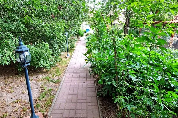 Gartenblick  Ferienhaus Julchen