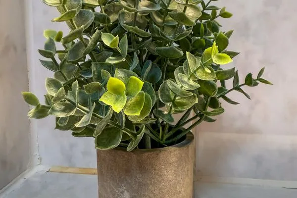 Decorative detail  Apartment - NewTown - Balkon