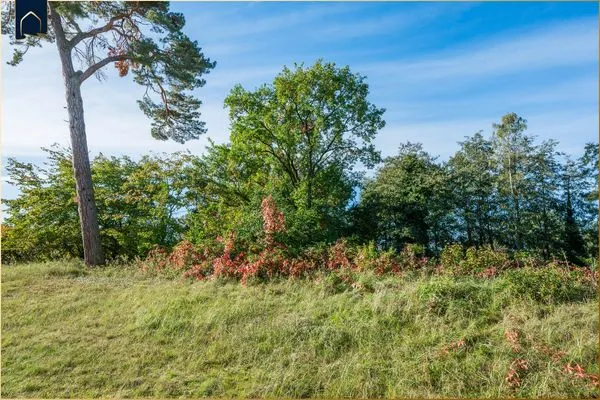 Ferienwohnung Kranich