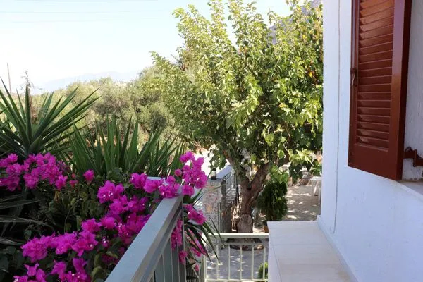 Facade / entrance  Kounenos 2