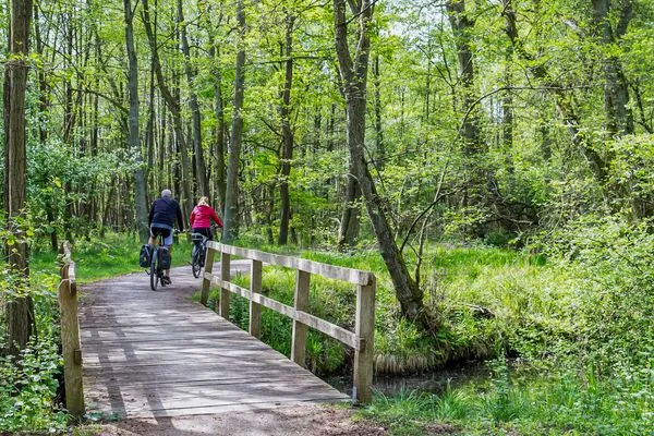 Ferienwohnung Jette Waren (Müritz) - nur 10 minuten mit dem Fahrrad in den Nationalpark  Jette