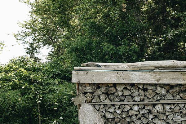  Ferienhaus Siegfried Dierhagen - Garten