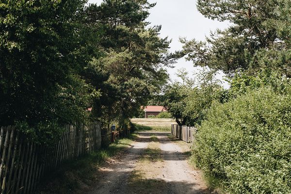  Ferienhaus Siegfried Dierhagen - Nachbarschaft