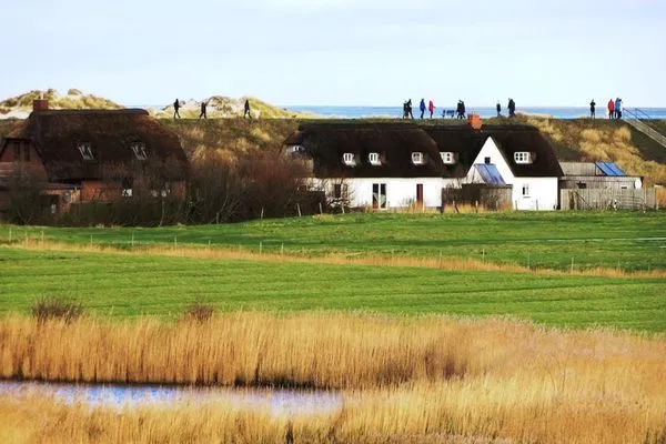 Fischerhaus am Strand Reetdachhaus Friesenhaus SPO Ording - 