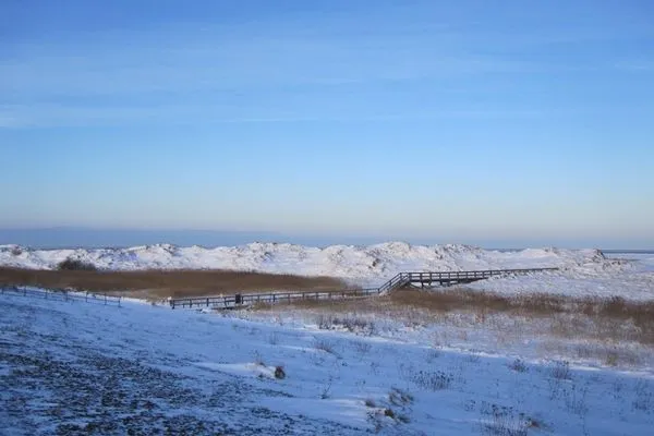 Fischerhaus am Strand Appartement Kuschelnest SPO Ording - 