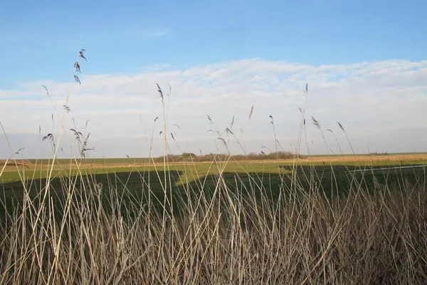 Halligland Aussicht Appartement Halligland Aussicht SPO Ording - 