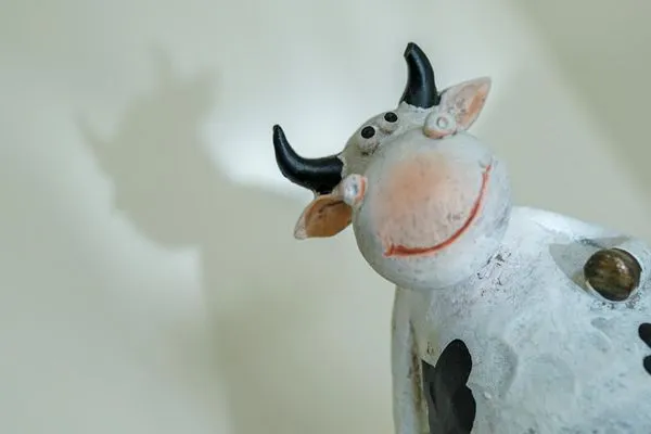 Haubarg Ossenhoff Haubarg Ossenhoff Appartement Buernhus SPO Umland - 