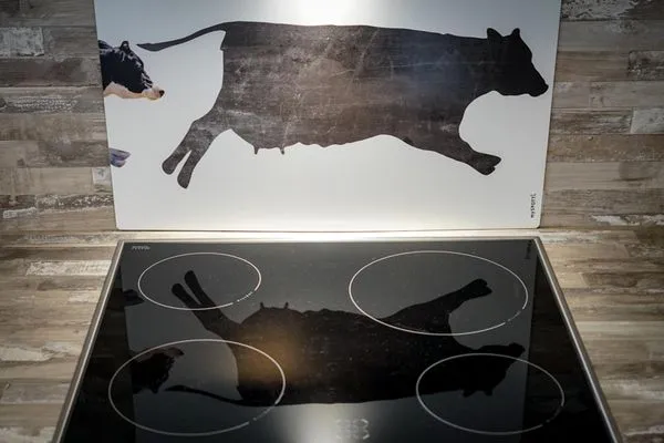 Haubarg Ossenhoff Haubarg Ossenhoff Appartement Kohstall SPO Umland - 