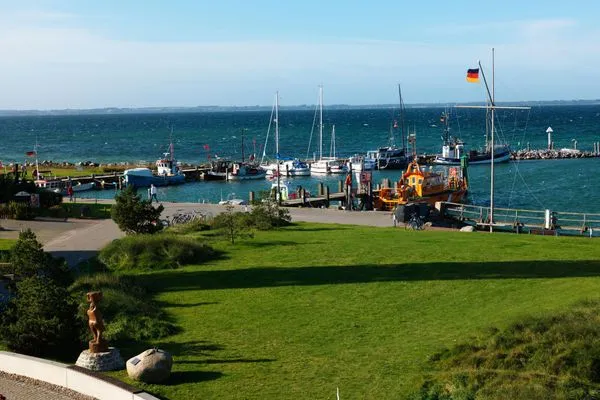 Nachbarschaft Haus Südwester Seeanemone