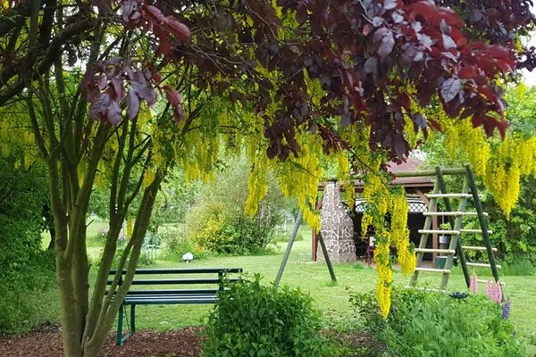 Scenery Insel-Idyll Morgentraum