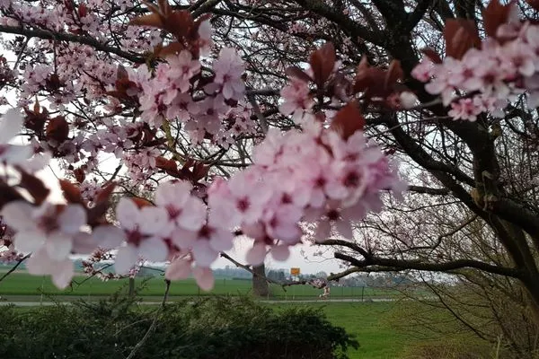 Scenery Insel-Idyll Sonnenschein