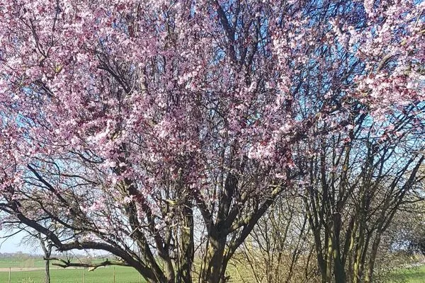 Scenery Insel-Idyll Sonnenschein