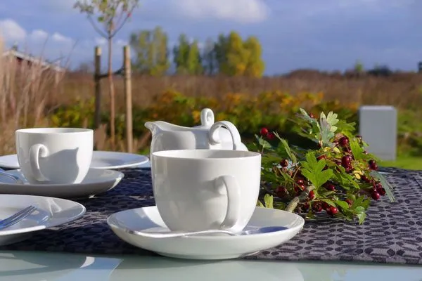 Terrace Dänisches Ferienhaus am Salzhaff, Haus Pacific