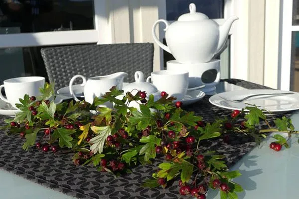 Terrace Dänisches Ferienhaus am Salzhaff, Haus Pacific