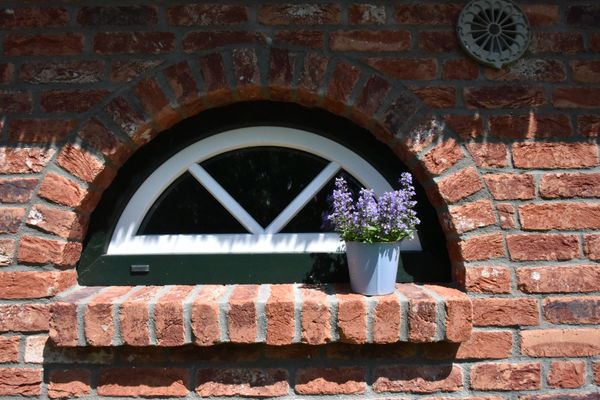  Möwen-Nest Tönning - Dekoratives Detail