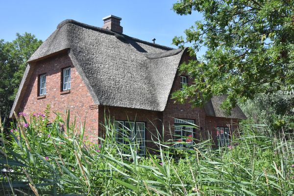 Möwen-Nest Tönning - 