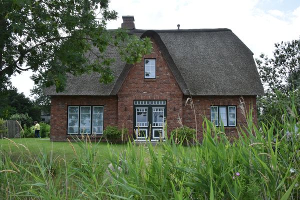 Möwen-Nest Tönning - 