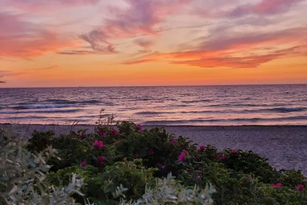 Landschaft  Ferienhaus BUG