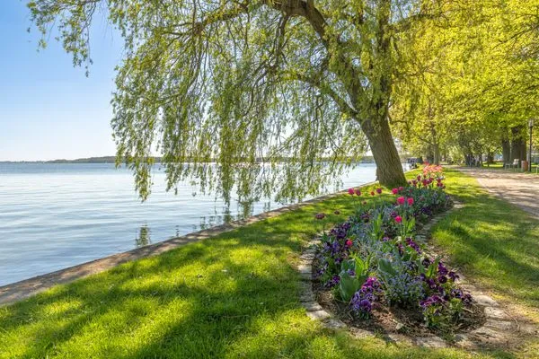 Ferienwohnung Fischotter Waren (Müritz) - Umgebung See  Fischotter