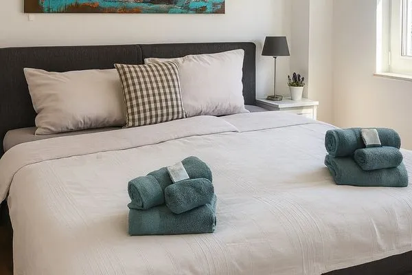   Fewo Bodensee Nenzingen