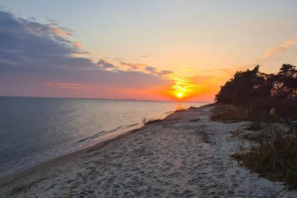 Strand  Ferienhaus zum Kranichblick