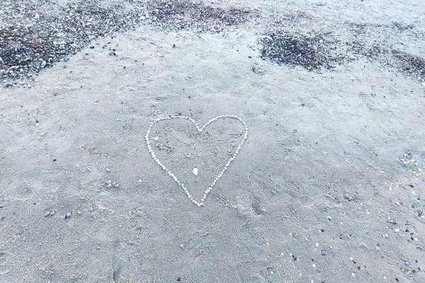   Ferienwohnung Hafenblick