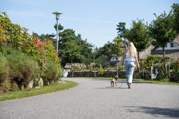 Nachbarschaft  Ferienhaus Seeschwalbe 10