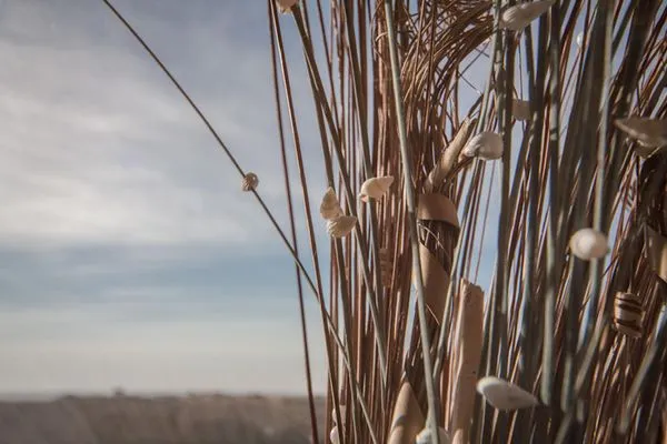 Apartmenthaus Deichbude Apartmenthaus Deichbude - Deichblick 12 SPO Ording - 