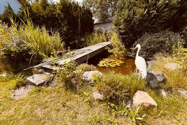 Ferienhaus Brise - Schmugglerhus Wieck - Garten