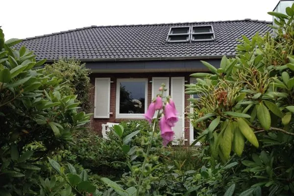 Bungalow Seestern Bungalow Seestern B SPO Dorf - 