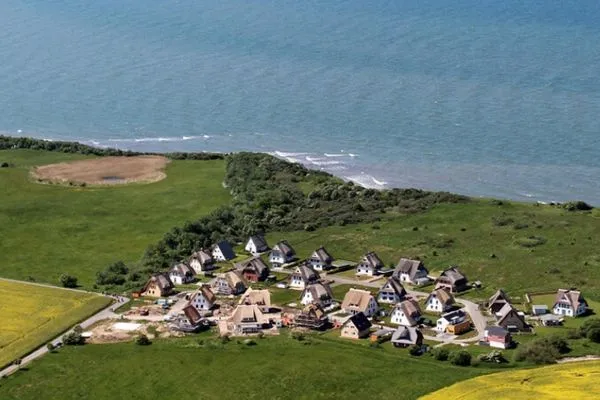 Seepferdchen-17  Seepferdchen