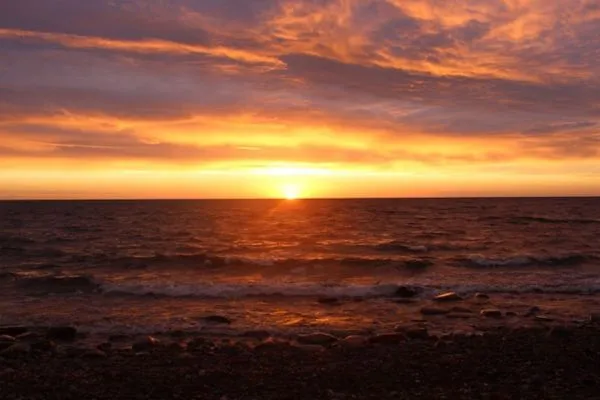 Seepferdchen-22  Seepferdchen